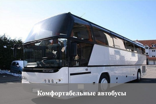 автобус в Затоку